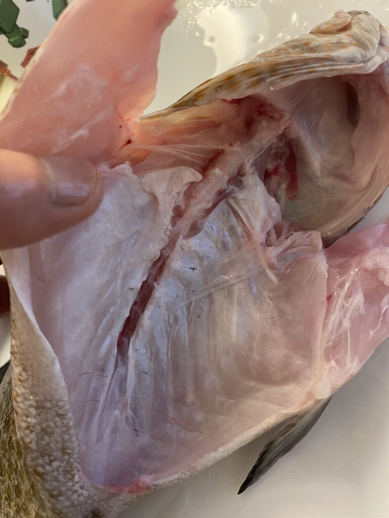 お腹の中に残った血合いをしっかり洗い流す
