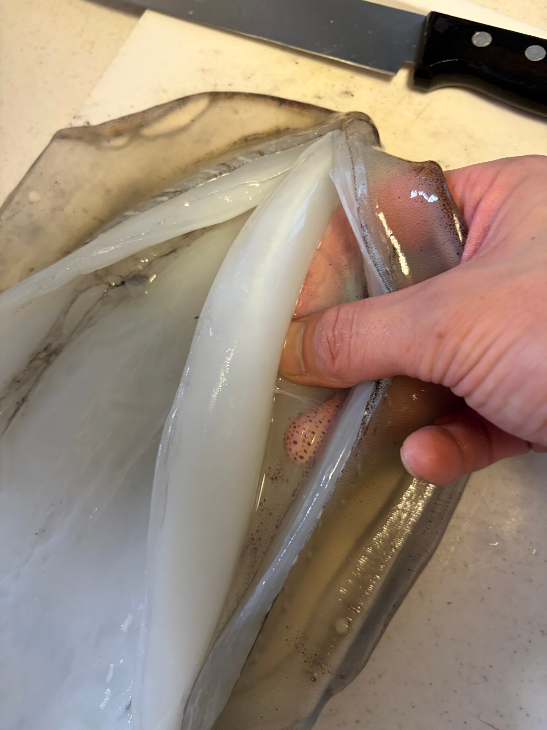 キッチンペーパーでアオリイカの薄皮をむく