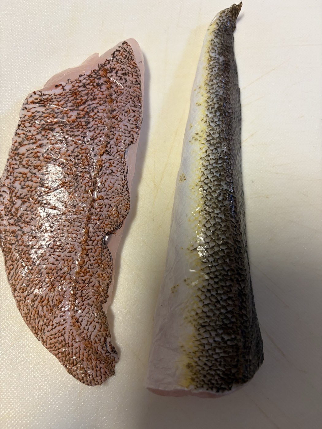 熟成後のキジハタとマゴチの皮目