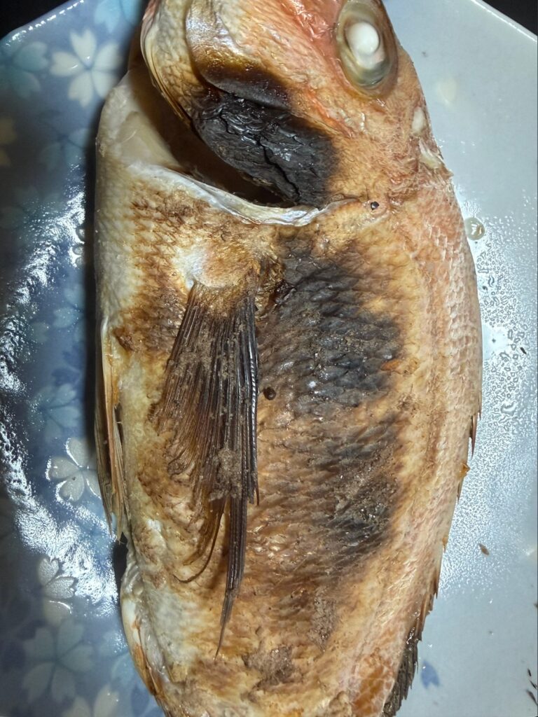 25cmのマダイをウロコごと丸ごと塩焼きにしたもの