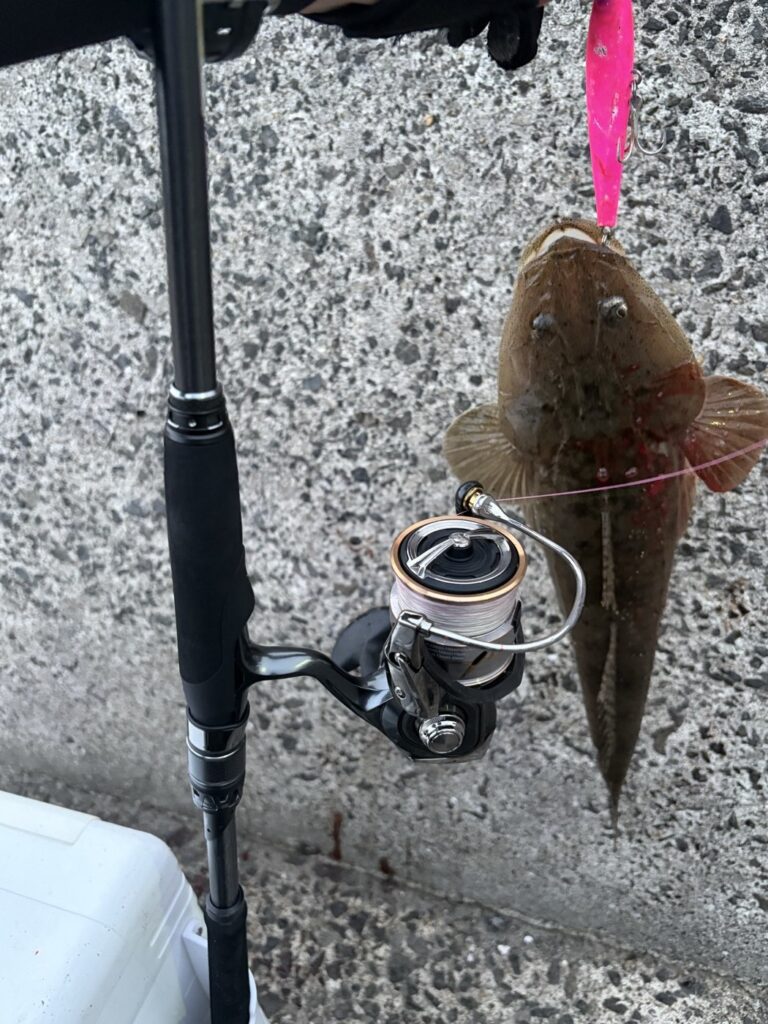 モンスターショットで釣れたマゴチ45cmとタックル