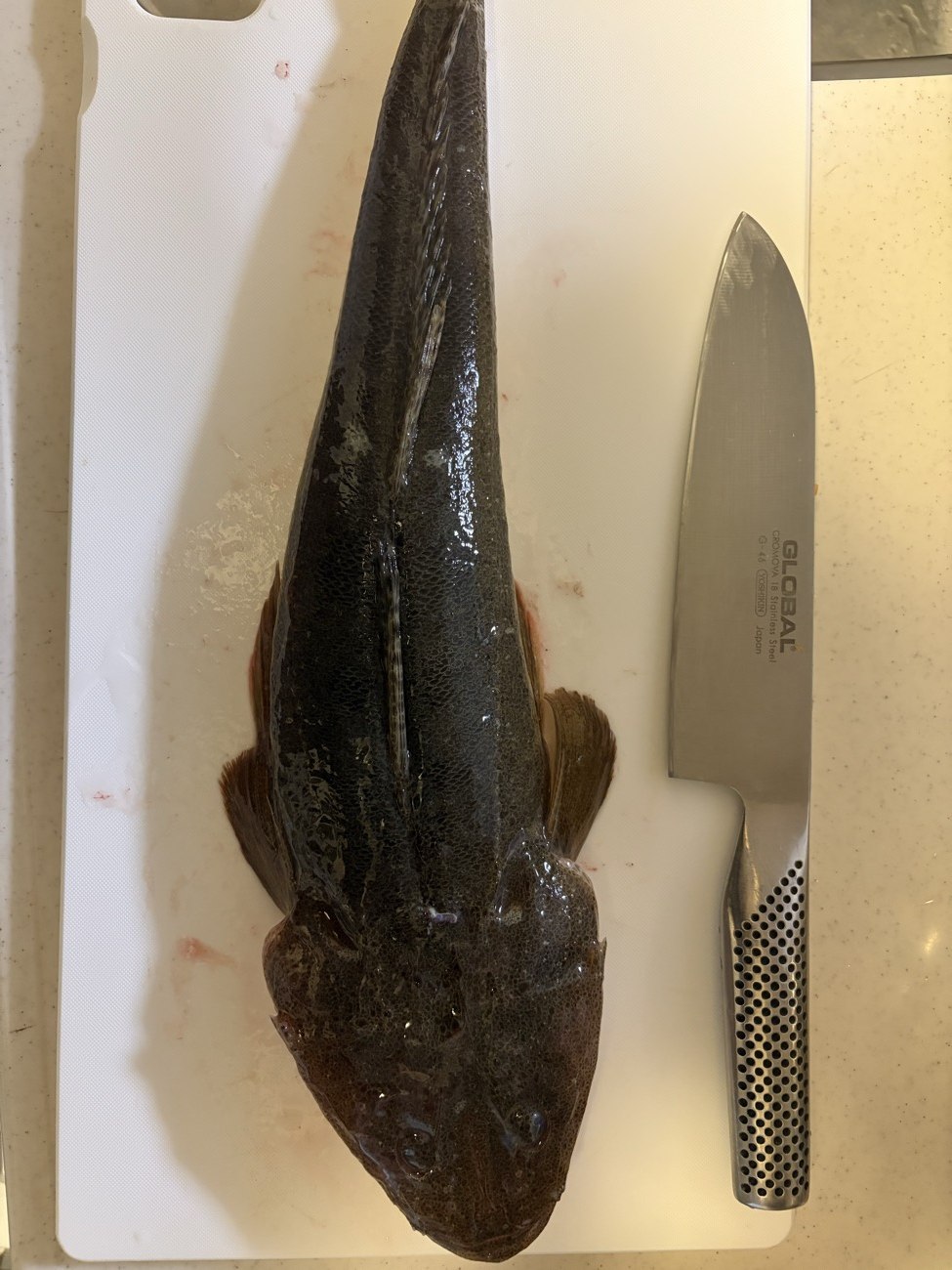 まな板に乗せた45cmのマゴチと包丁