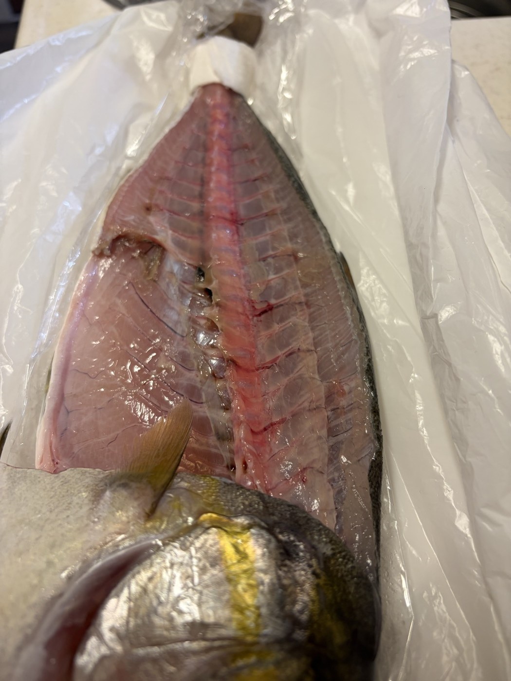 熟成 約120時間|食べる直前の身