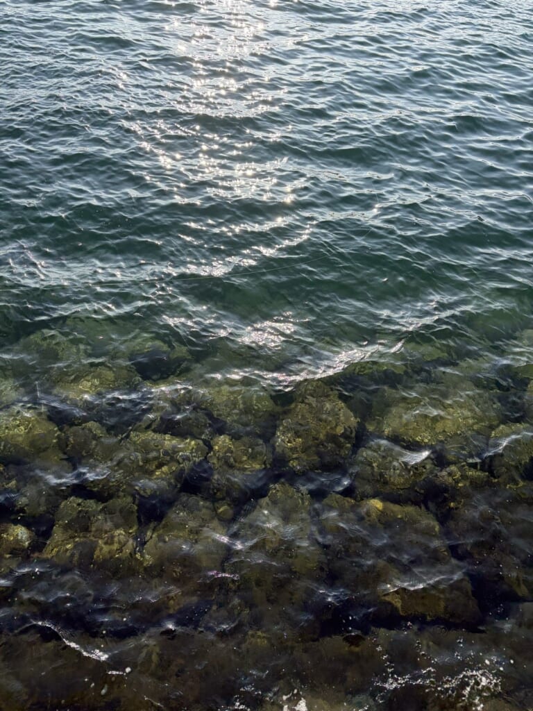 水が澄んで岩が見える海底